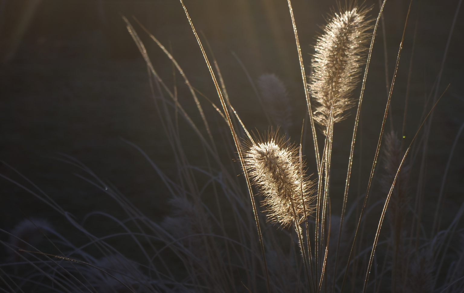 Снимок экрана_20251125_155056.png